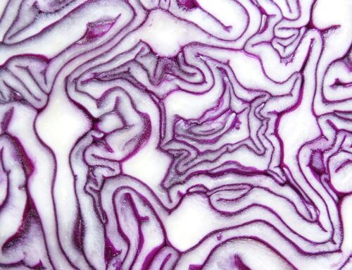 SIBO oder Reizdarm? So erkennen Sie den Unterschied