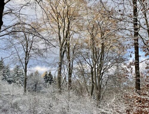 Was, wenn das Winterwetter die Stimmung verhagelt?