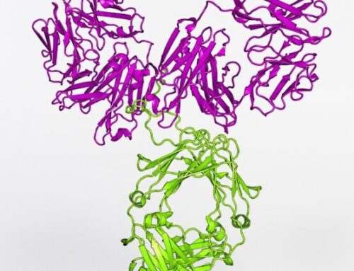 Was ist Histamin? Und wie wirkt es im Körper?